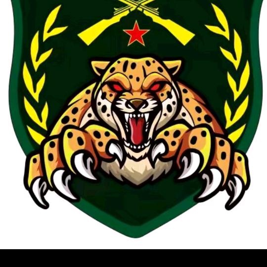 起示教育-猎豹训练营证哥