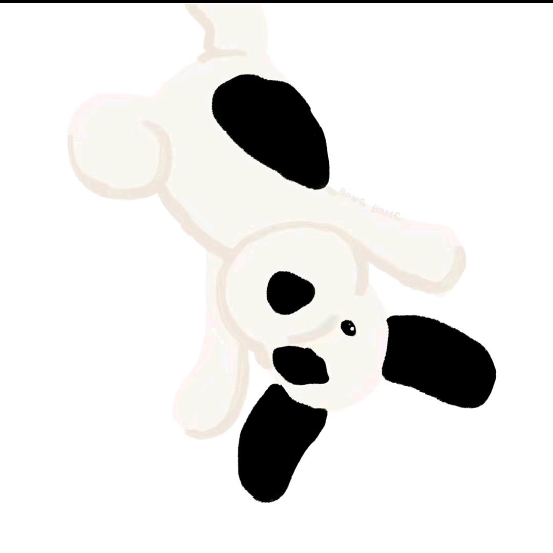 赵曼妮