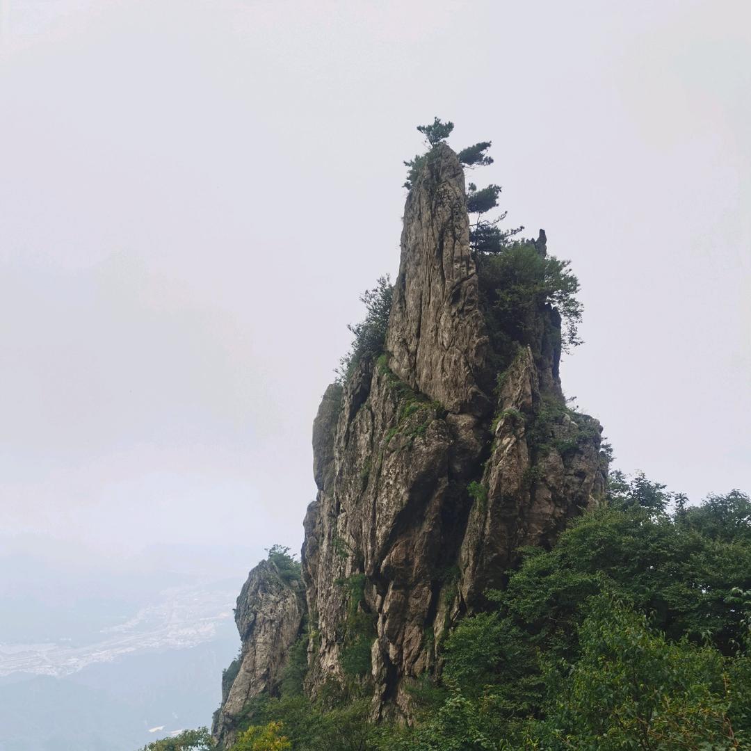 三宝，宇鑫