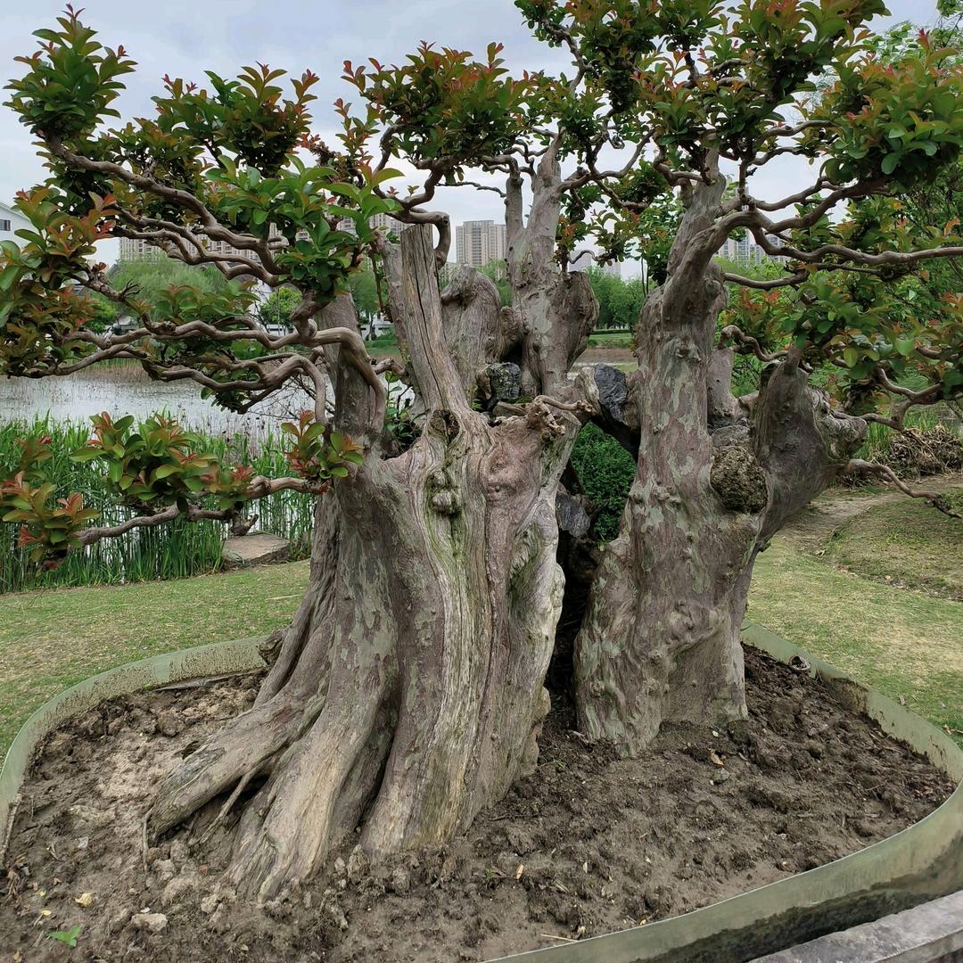 只🌹🍺🍺不🍀