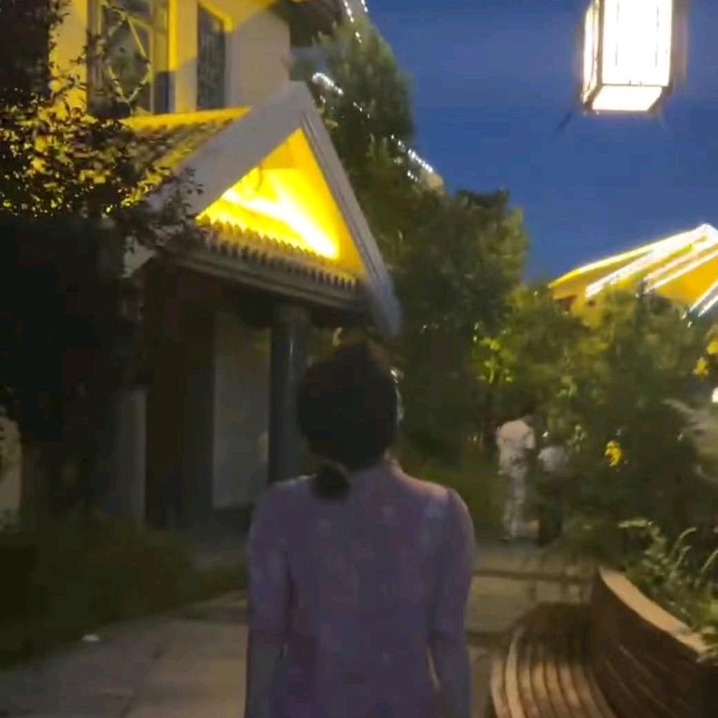 塞纳河畔唱着歌