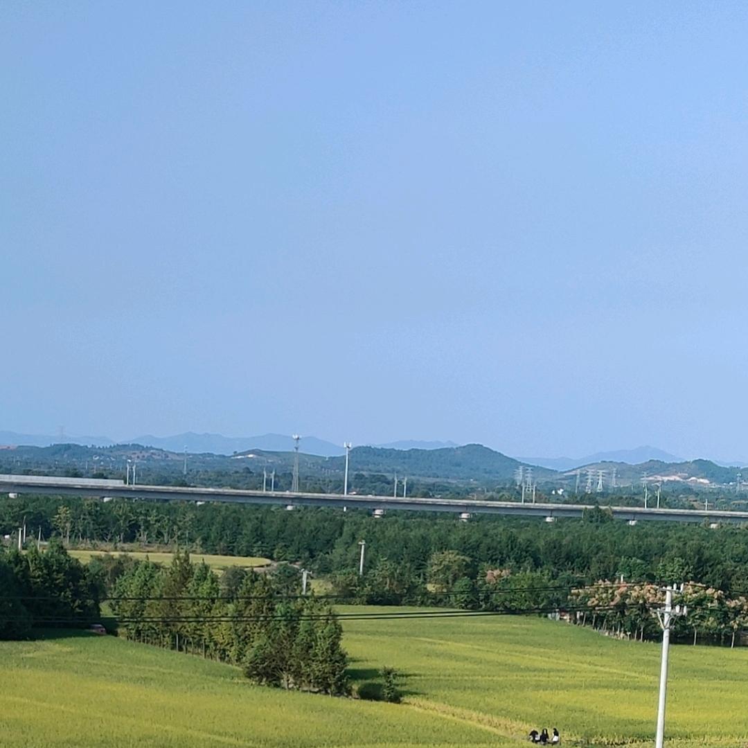 我太想进步了…