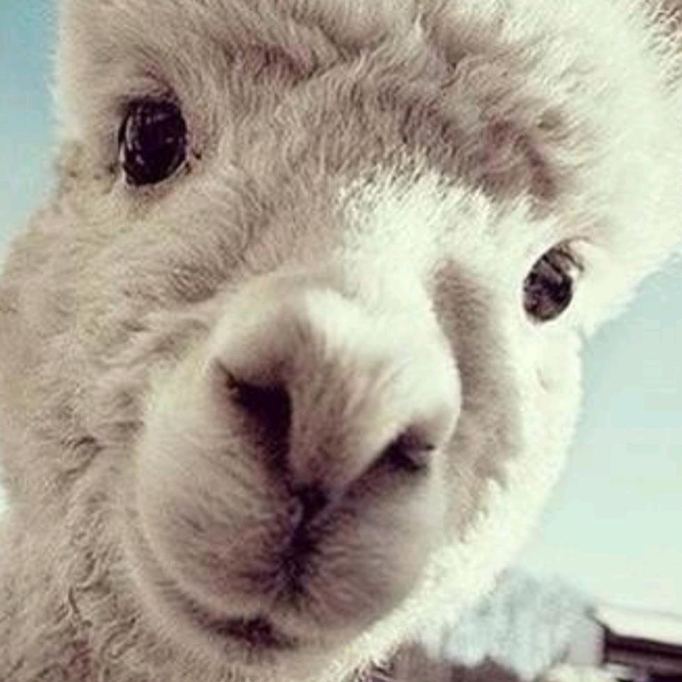 玉尔到家·家电清洗保洁·蚌埠市专用号