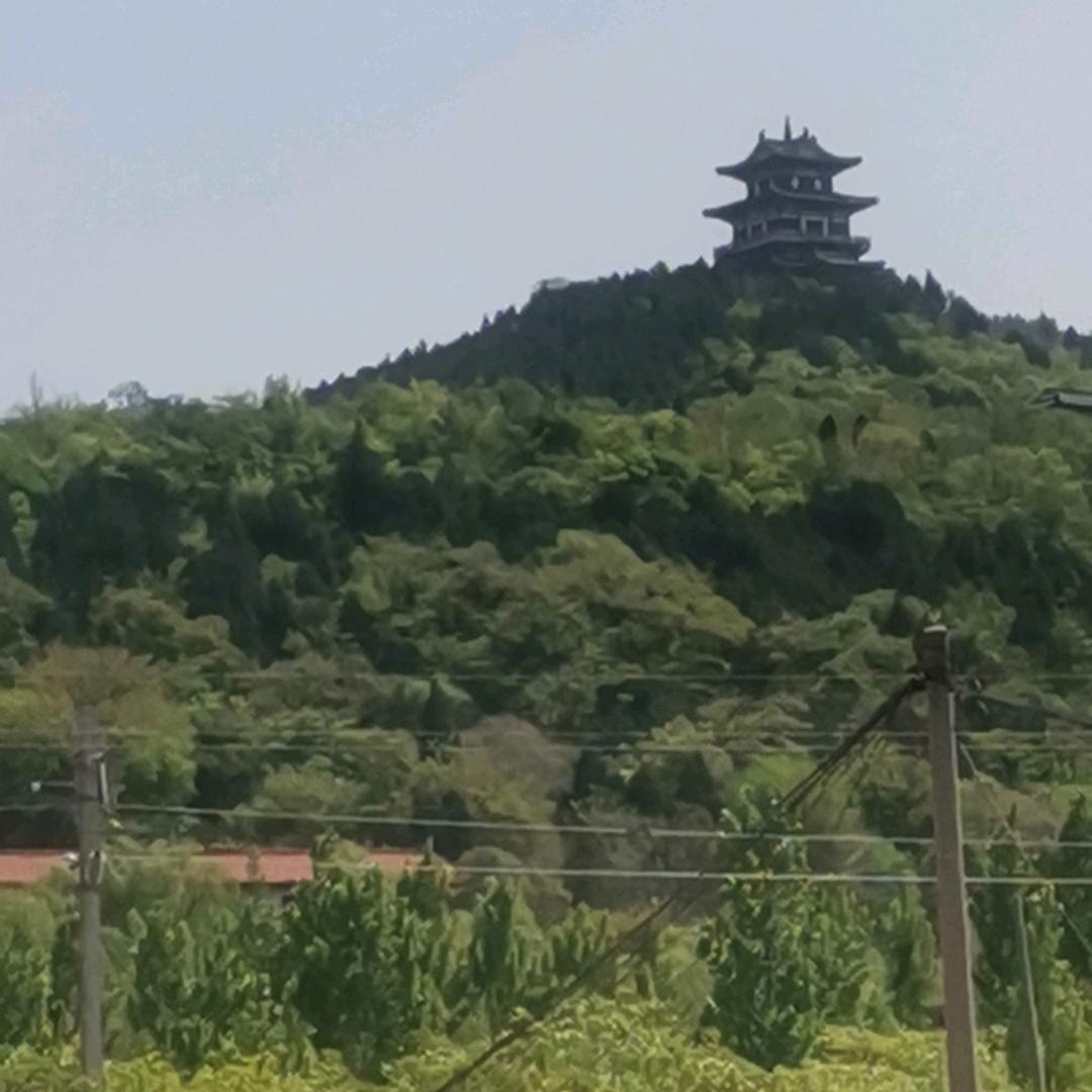 这一天那一天