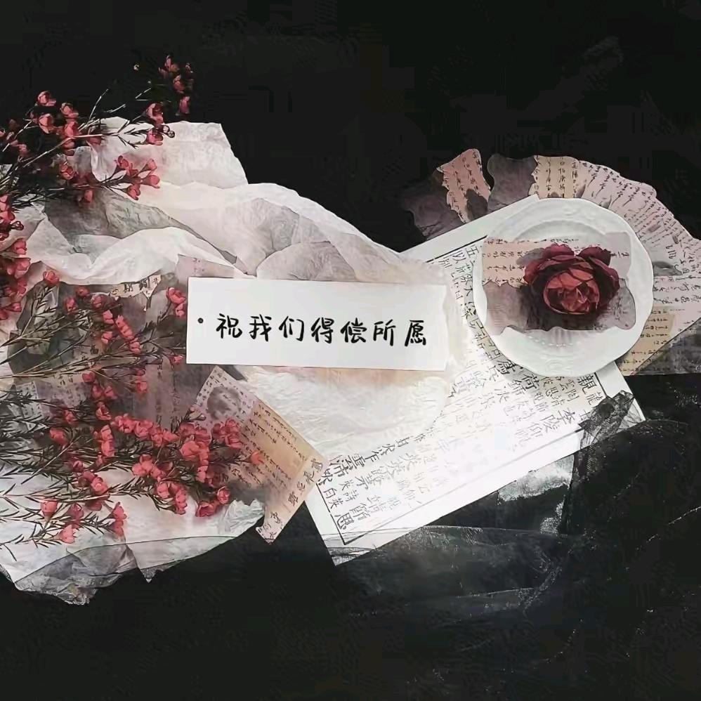 白哥【语录】