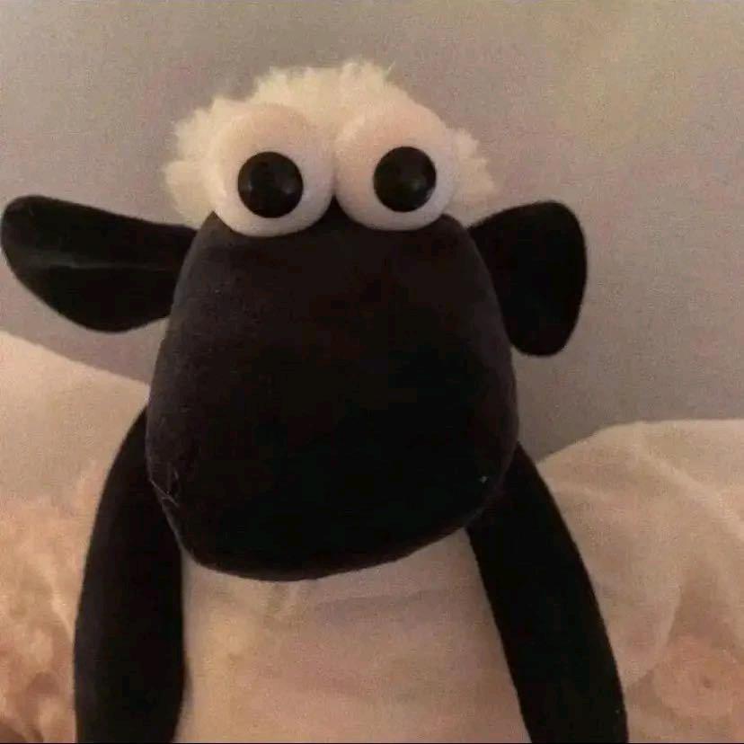 ”哆啦a梦🕊️