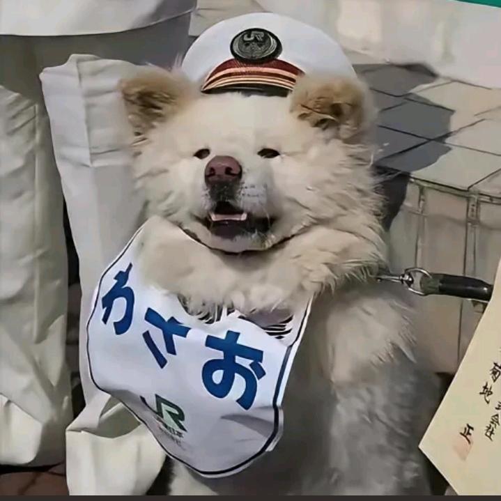 辰时叙