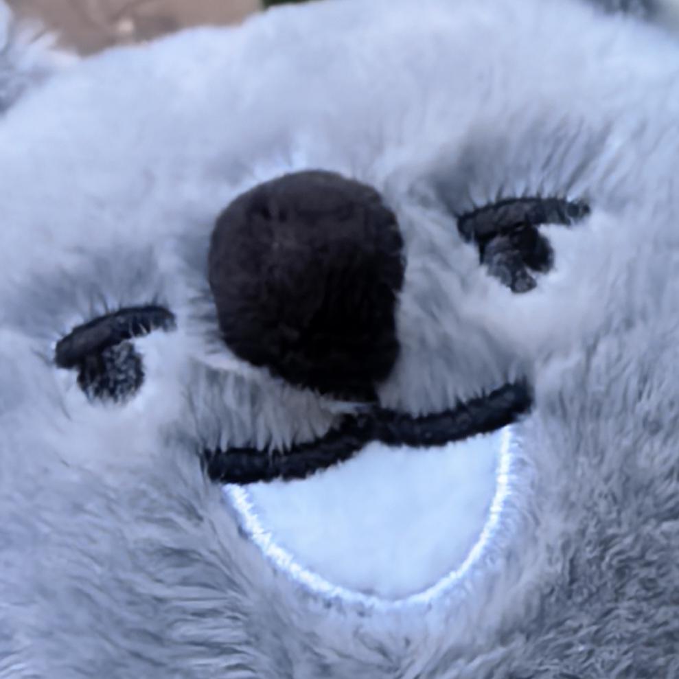 naux
