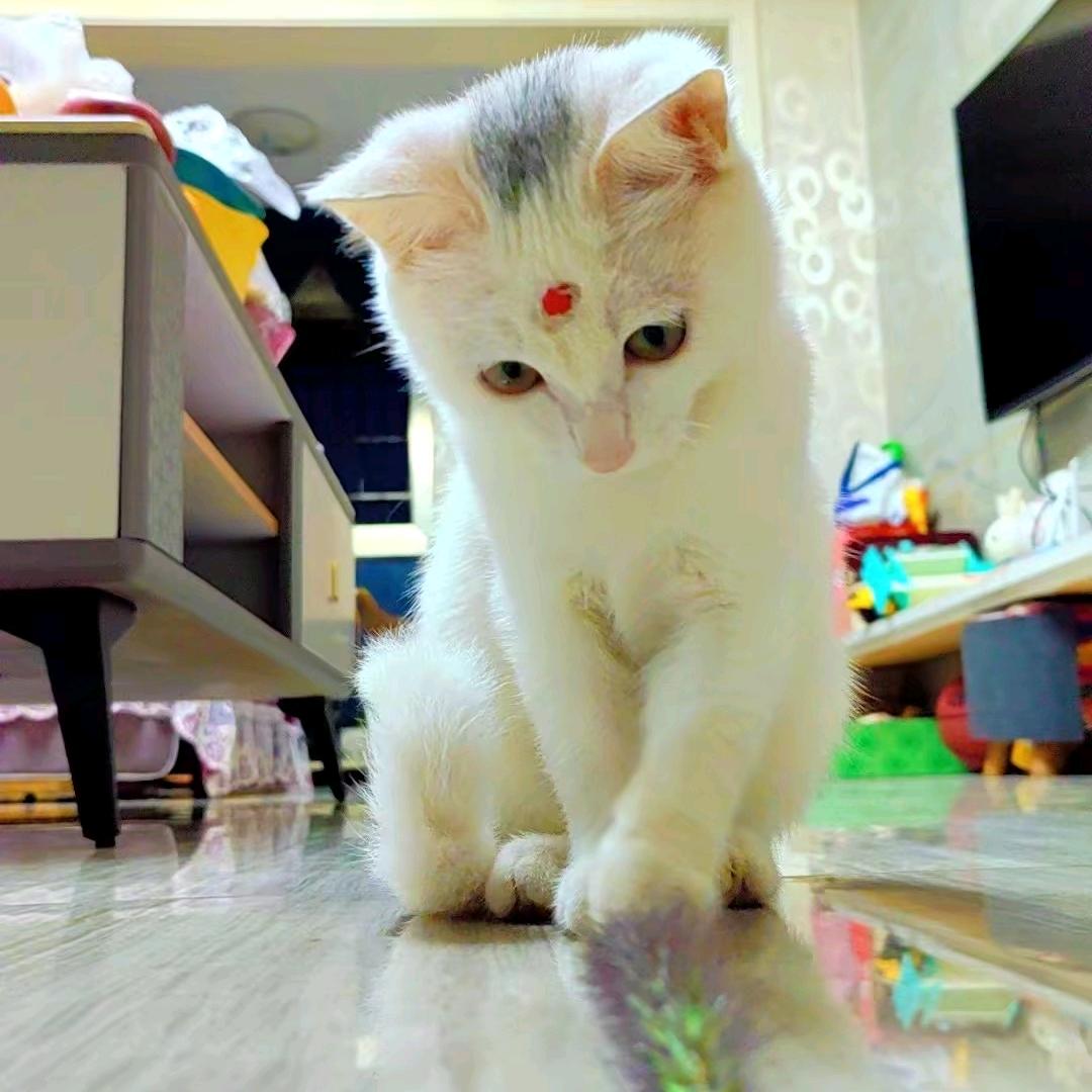 努力小太阳