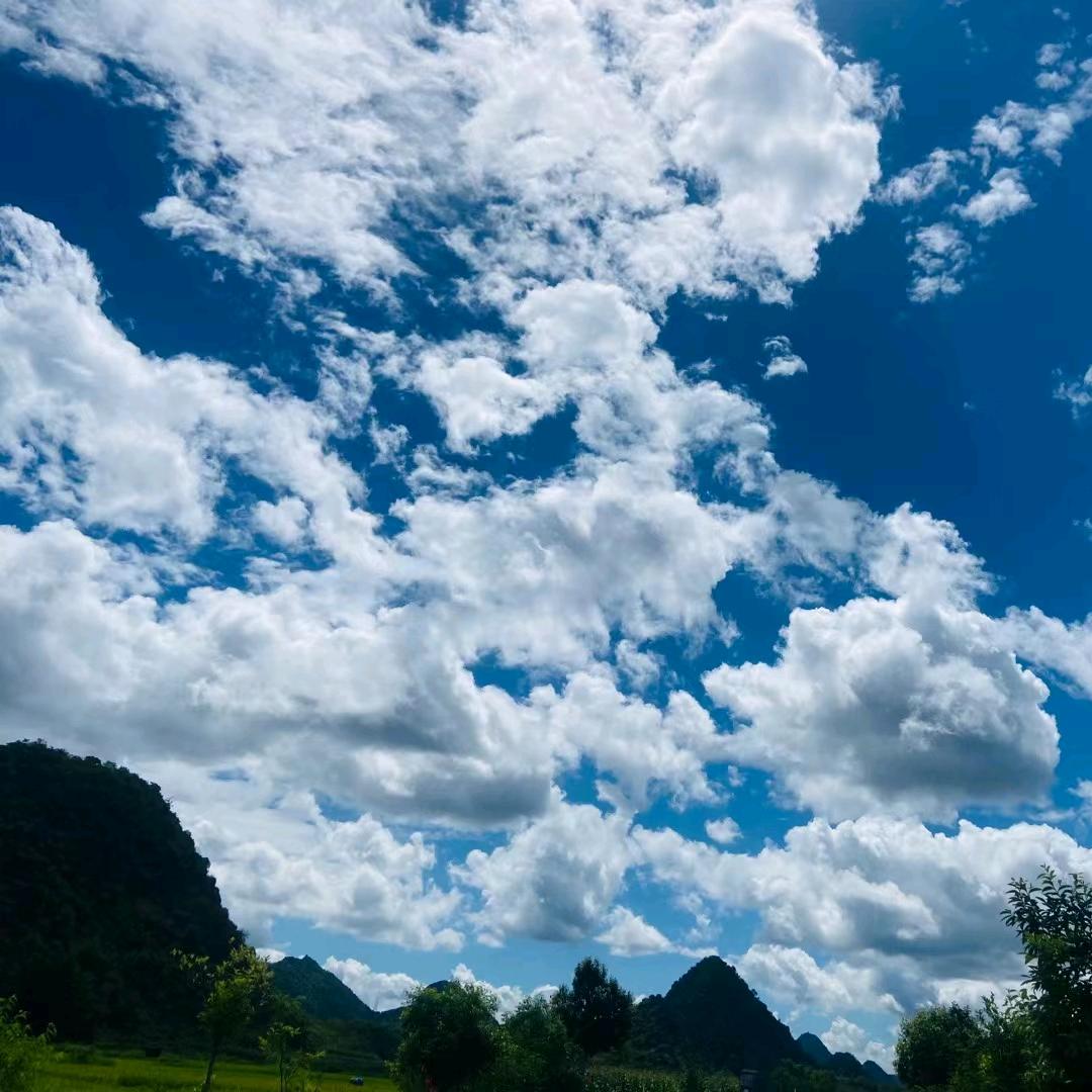 明天的向往