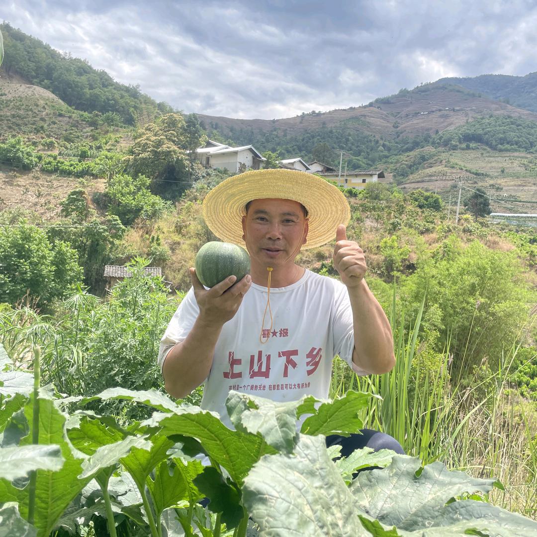 箐阳农场新鲜果蔬