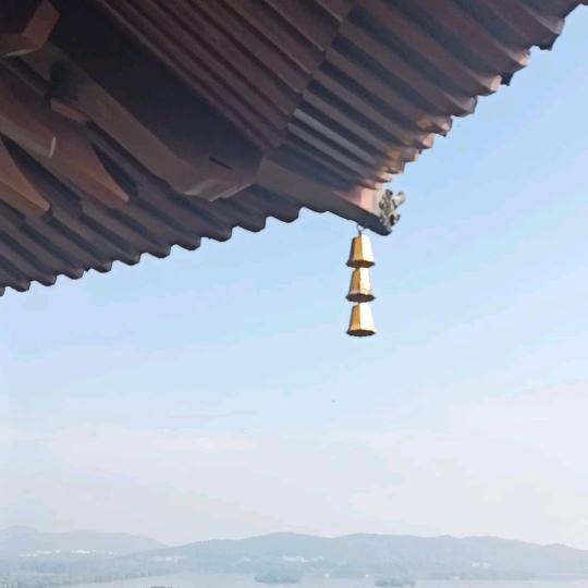 艾乔