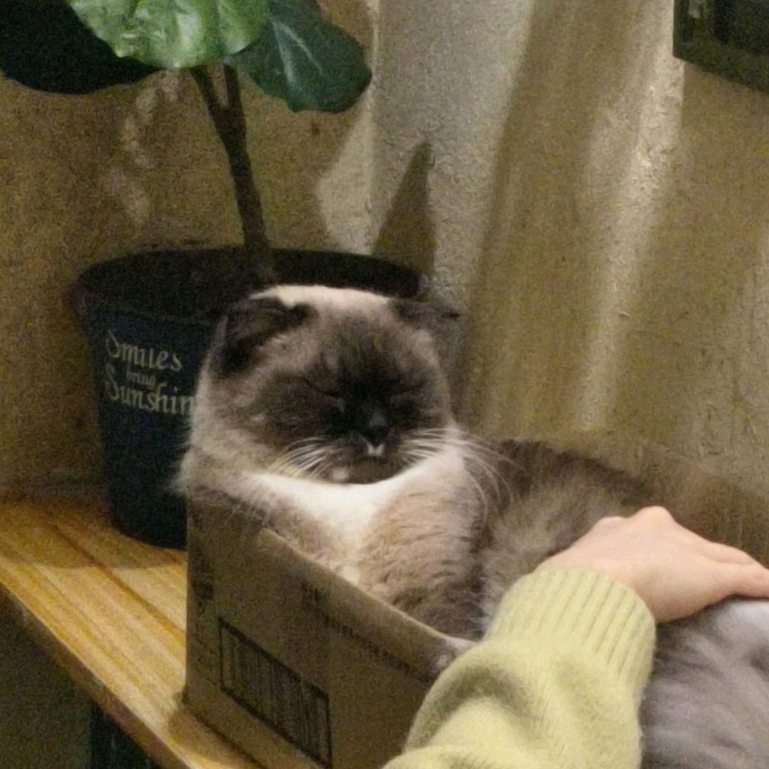 门牙~