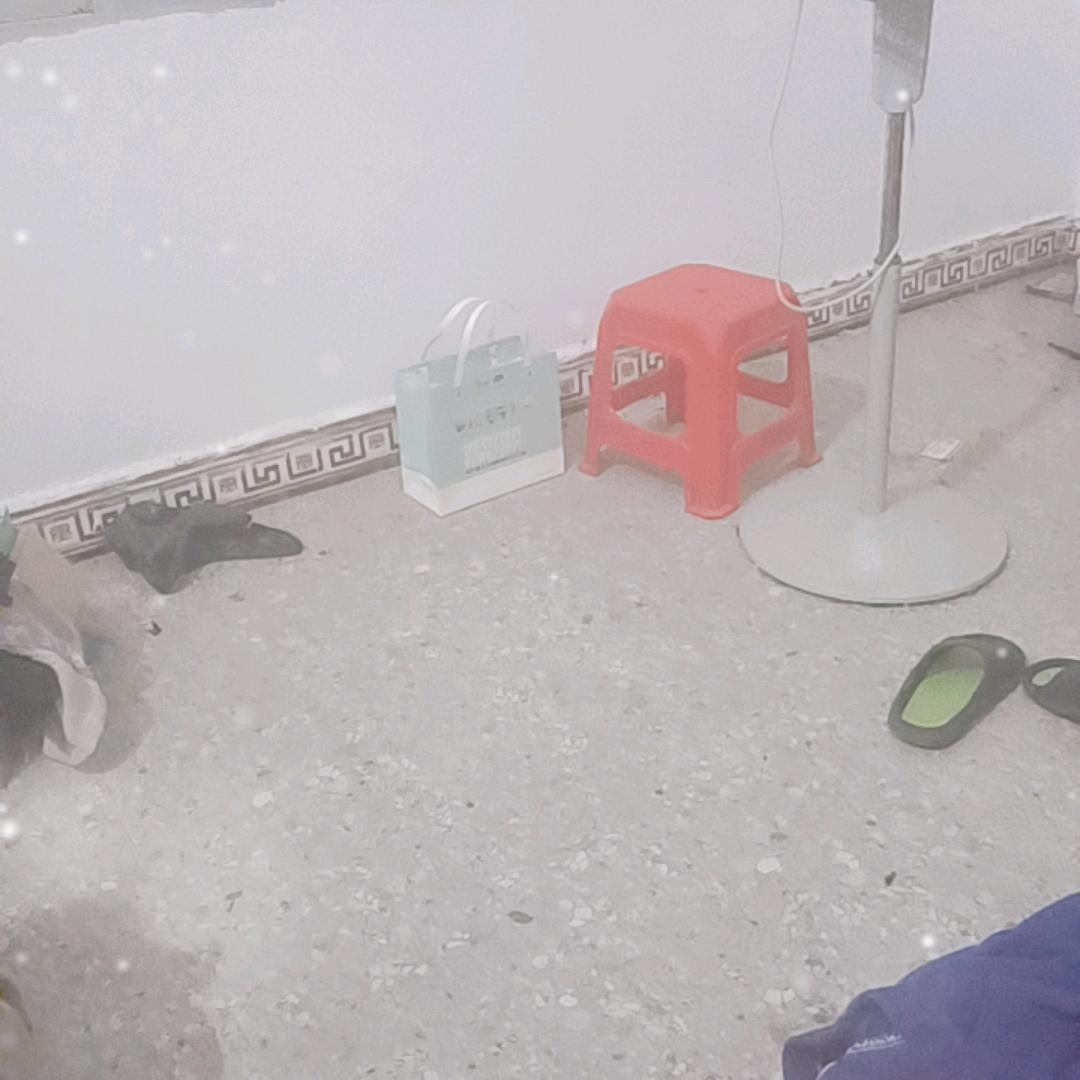 冬季