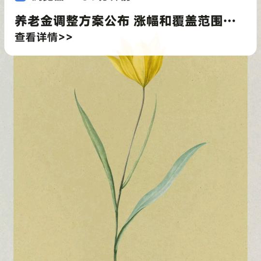 宝贝奶奶