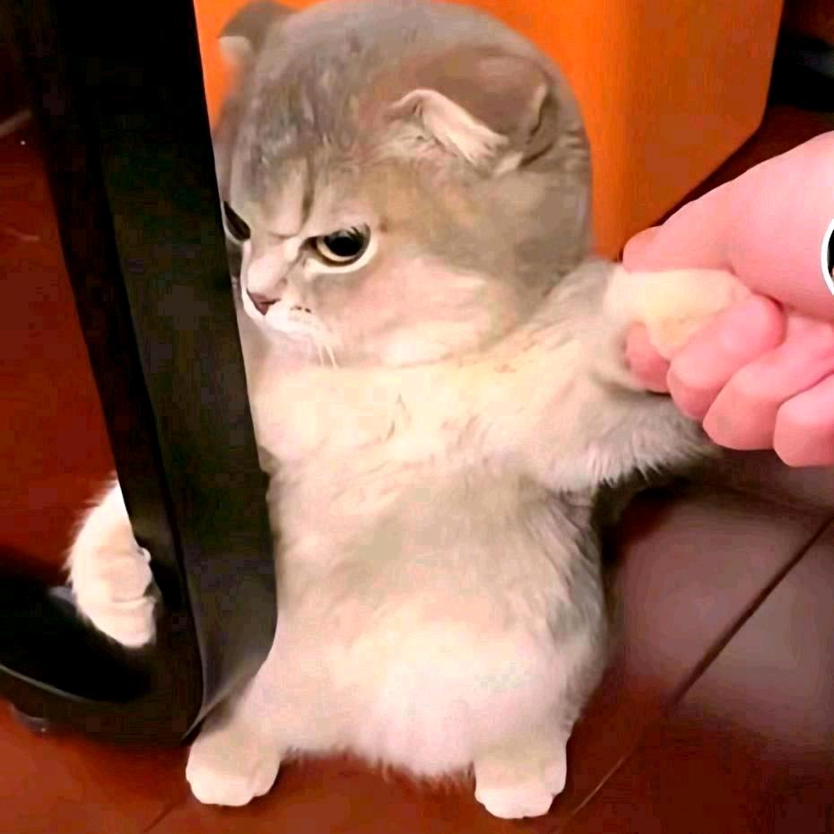 🌈嗨皮嗨皮🌈