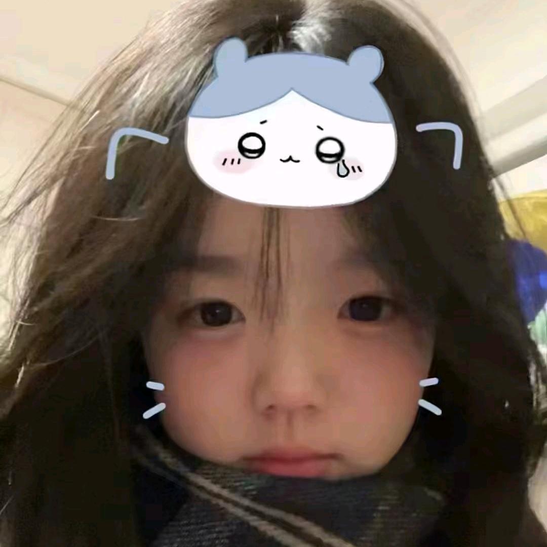 Vt月饼（极品飞车集结）