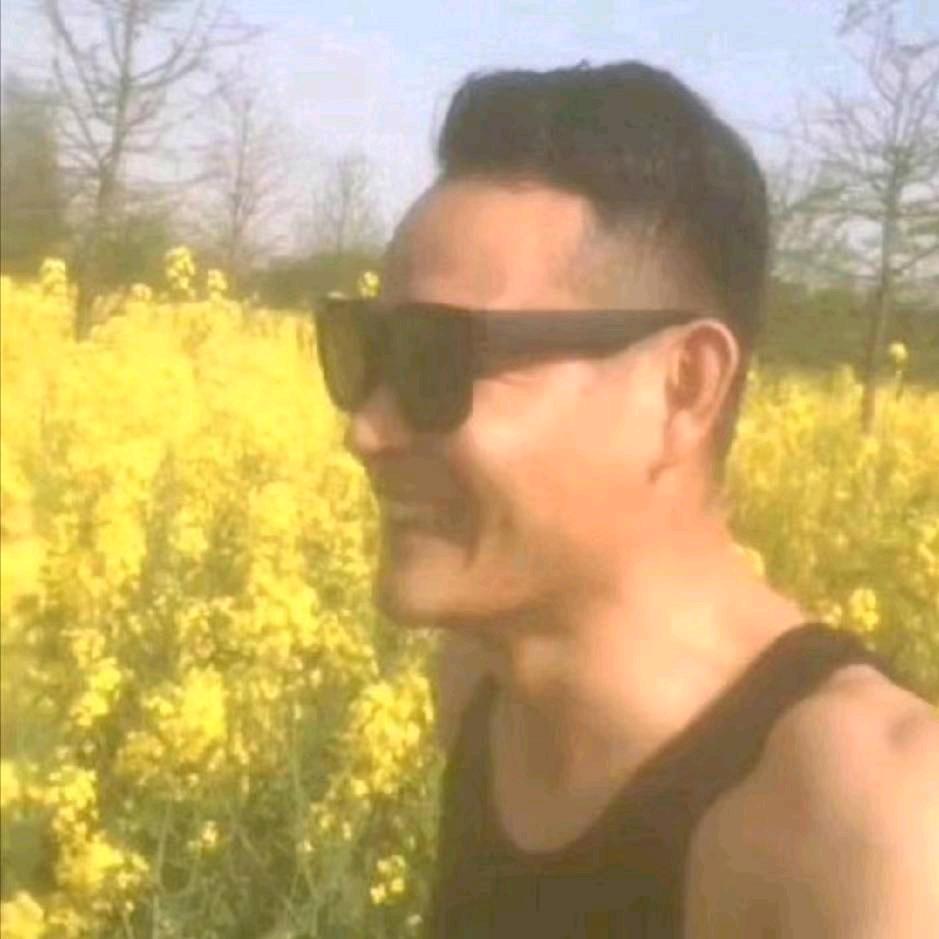 陶杰