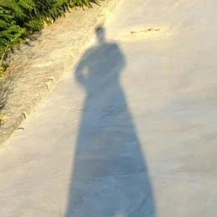 天下何处惹尘埃