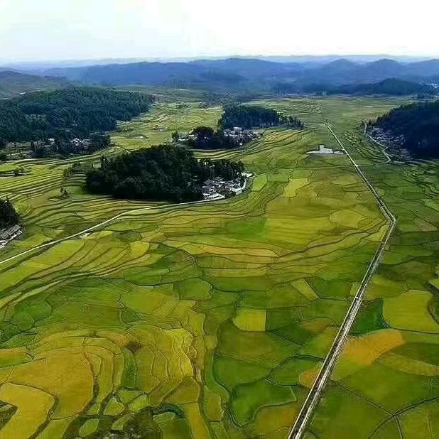平平安安