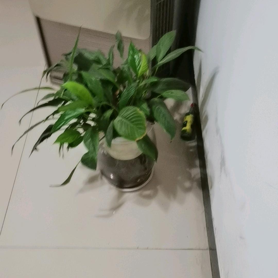 用户7030418653587