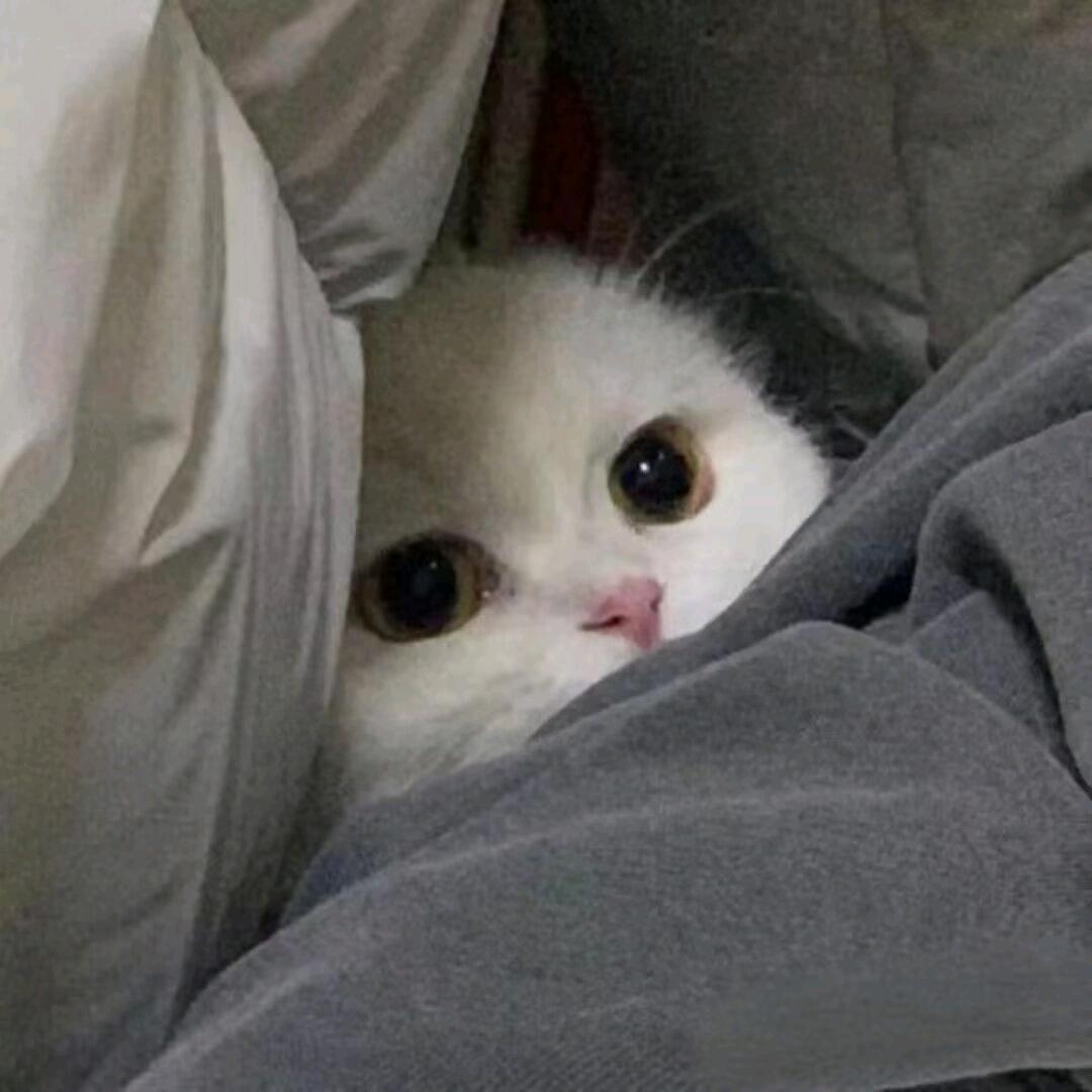 Yiiii