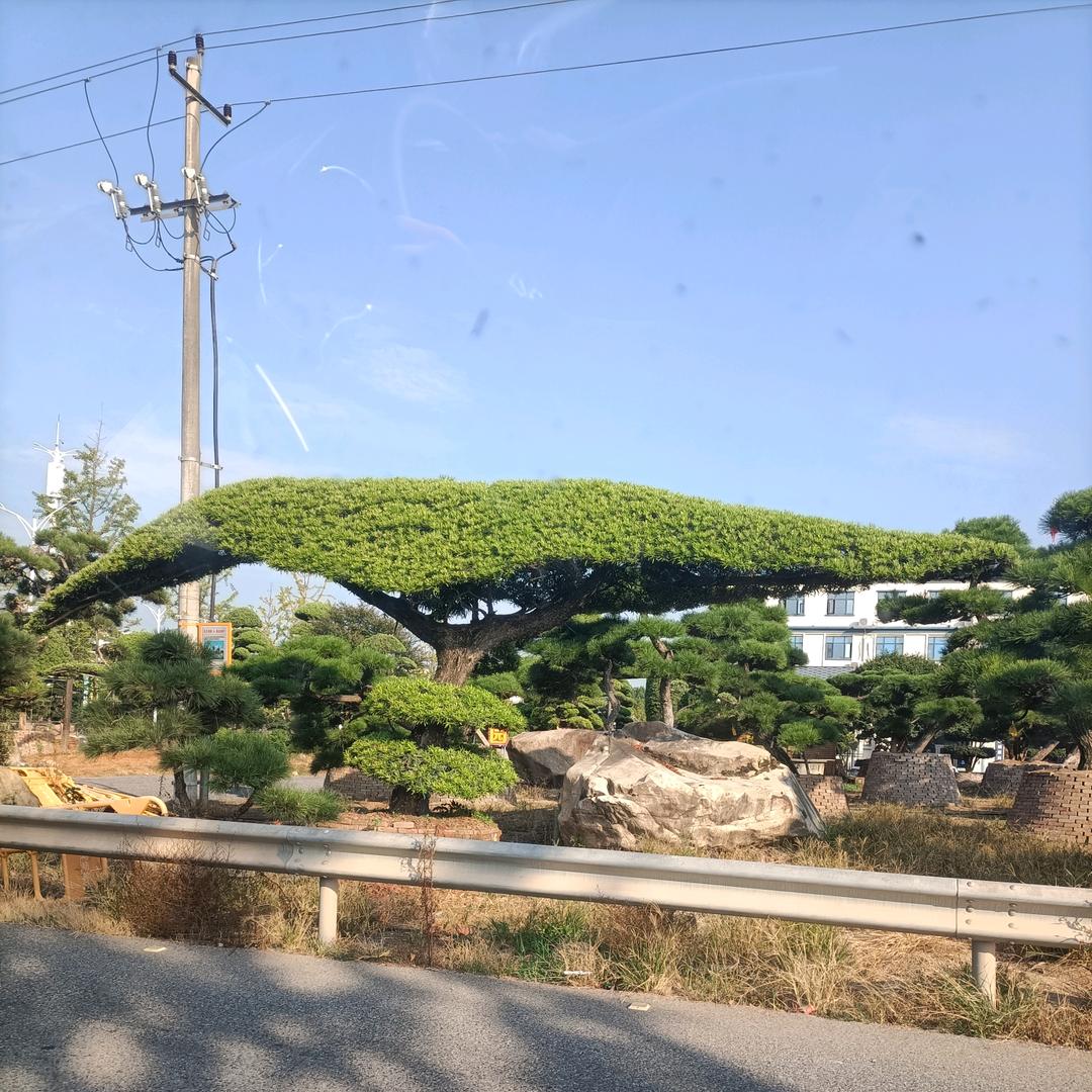 澜瑾