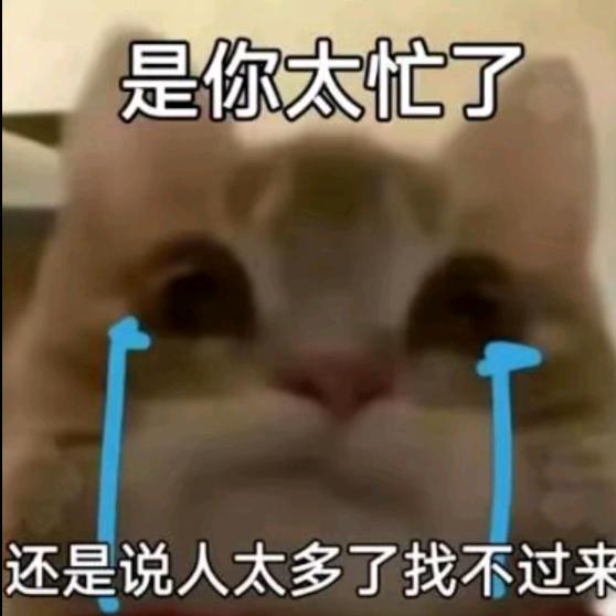 小游游游戏