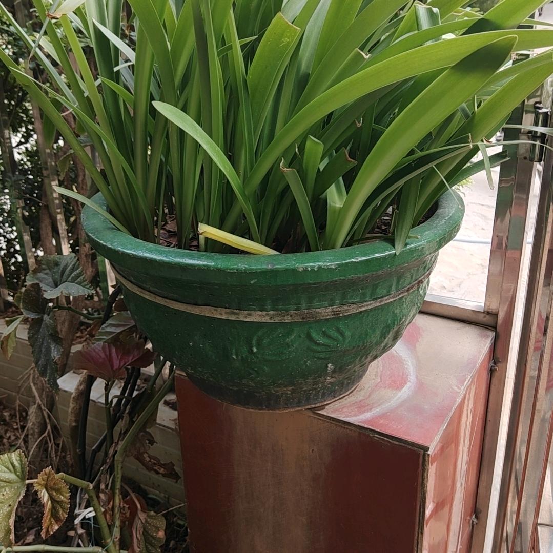 拼搏