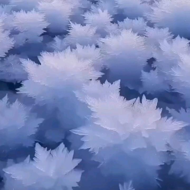 荒莫无烟