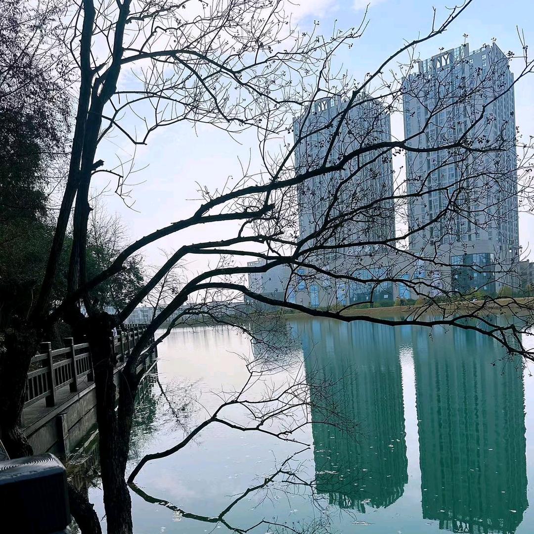 用户288423722彭989