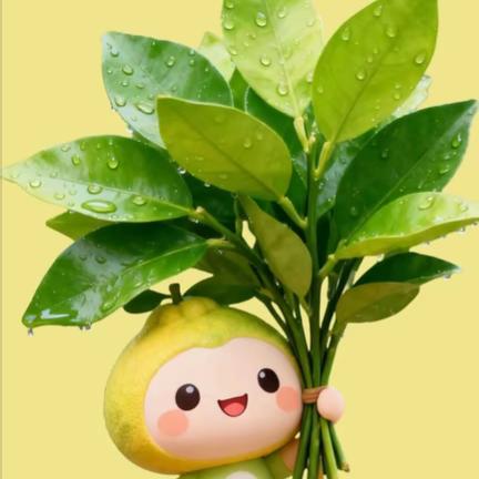 苏苏()