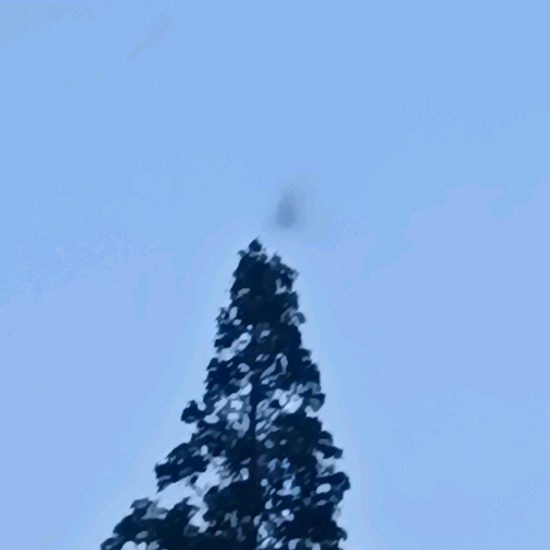 天天