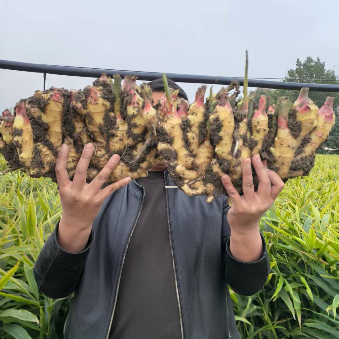 天下无难事，只怕有心人。