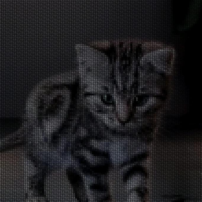 拒绝女色 从你们做起 我做不到