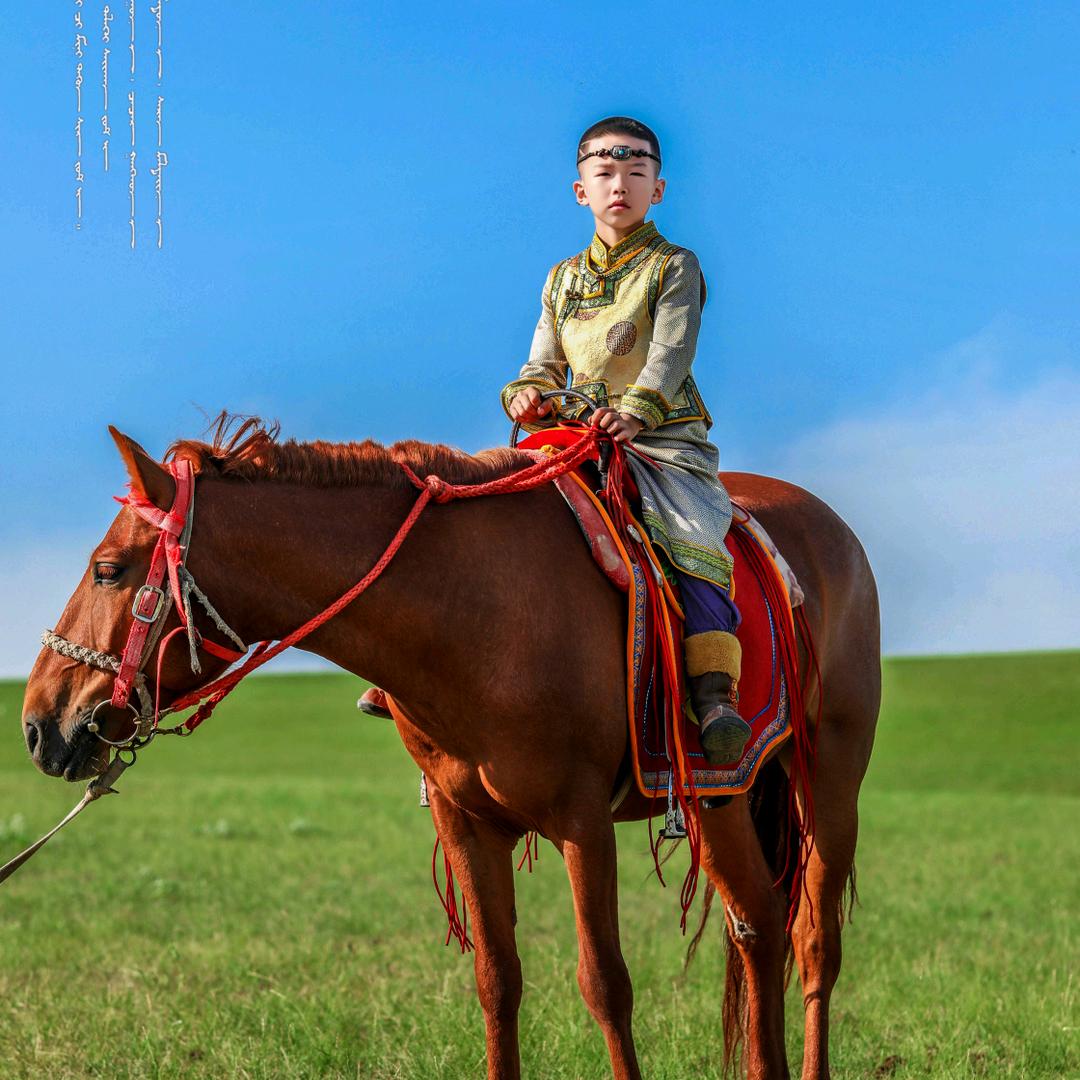 一颗闪亮的星⭐