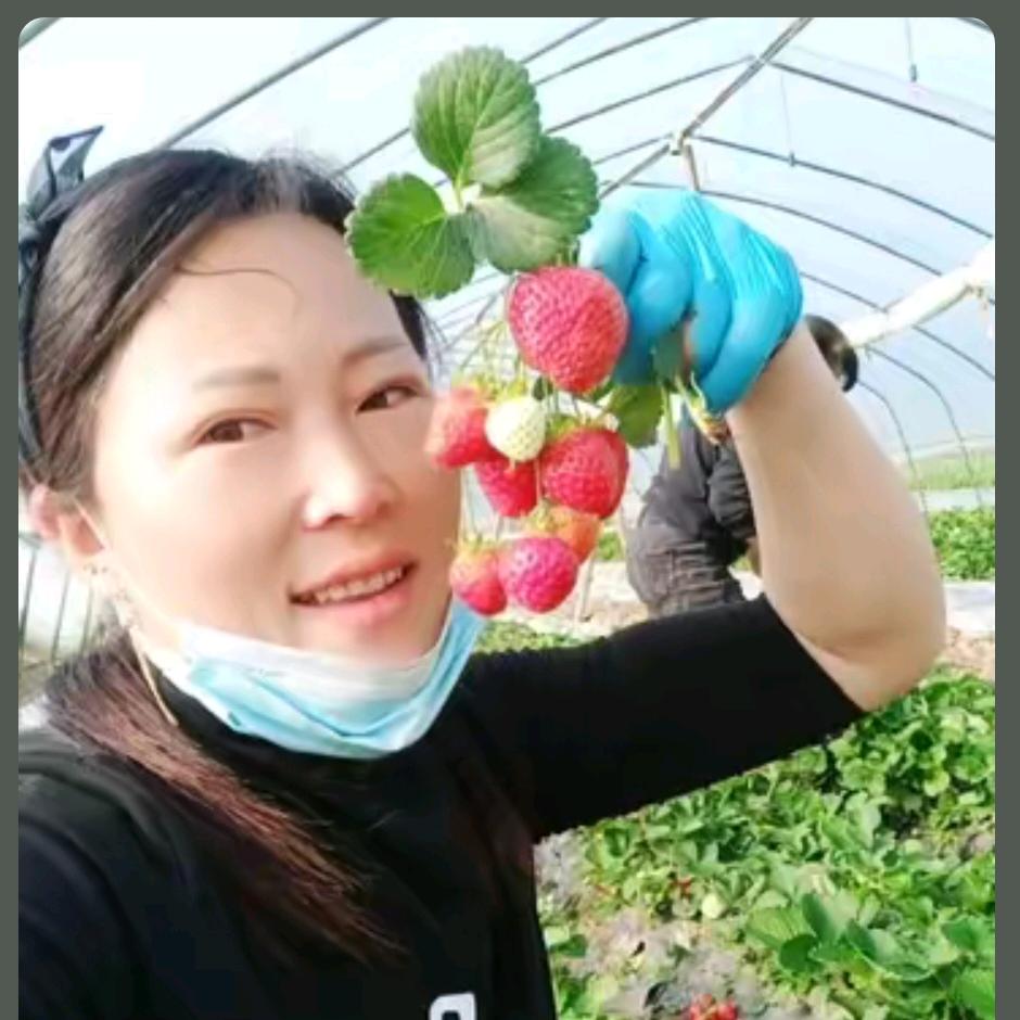 莓香🍓🍑采摘园(白开水)