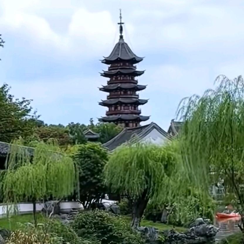 桃朵
