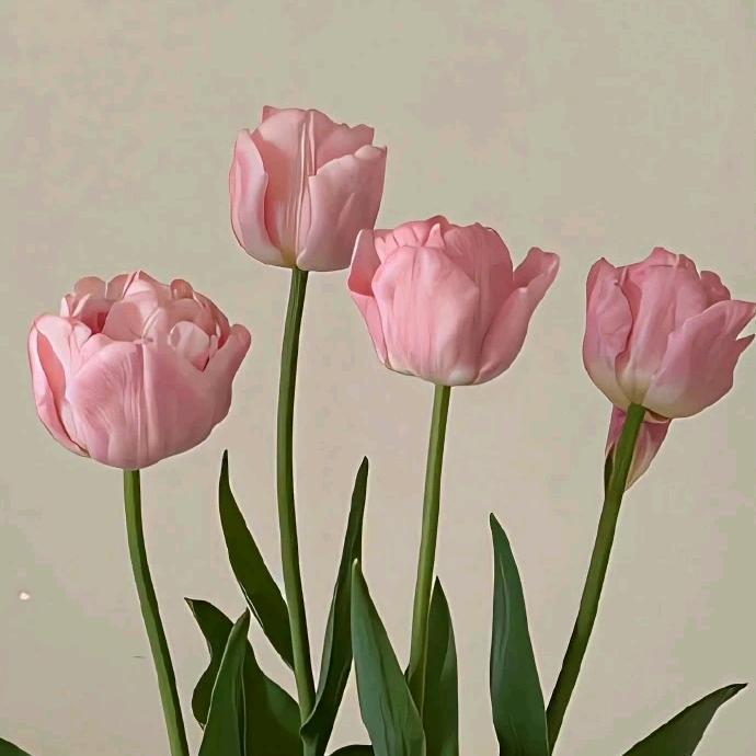 柒公馆～早早吖