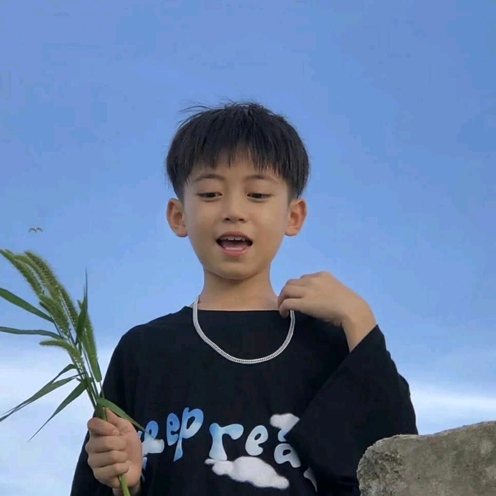 小九狐