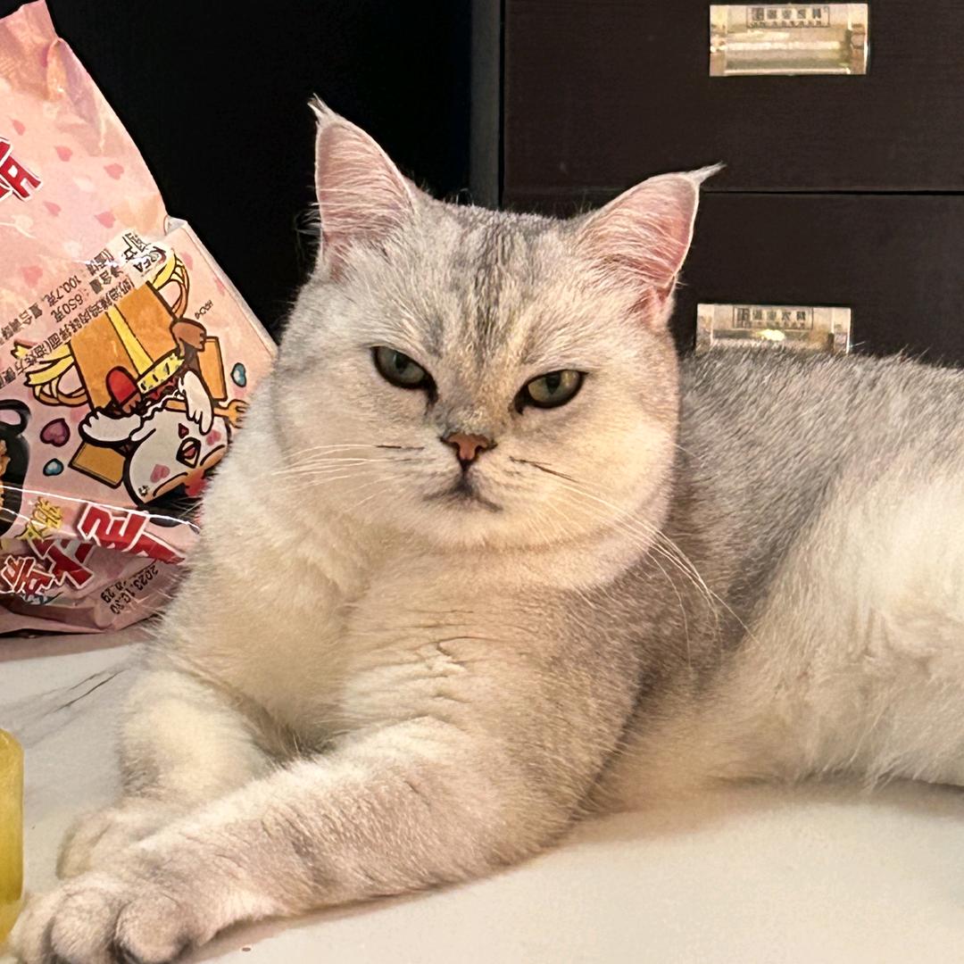 SayHi