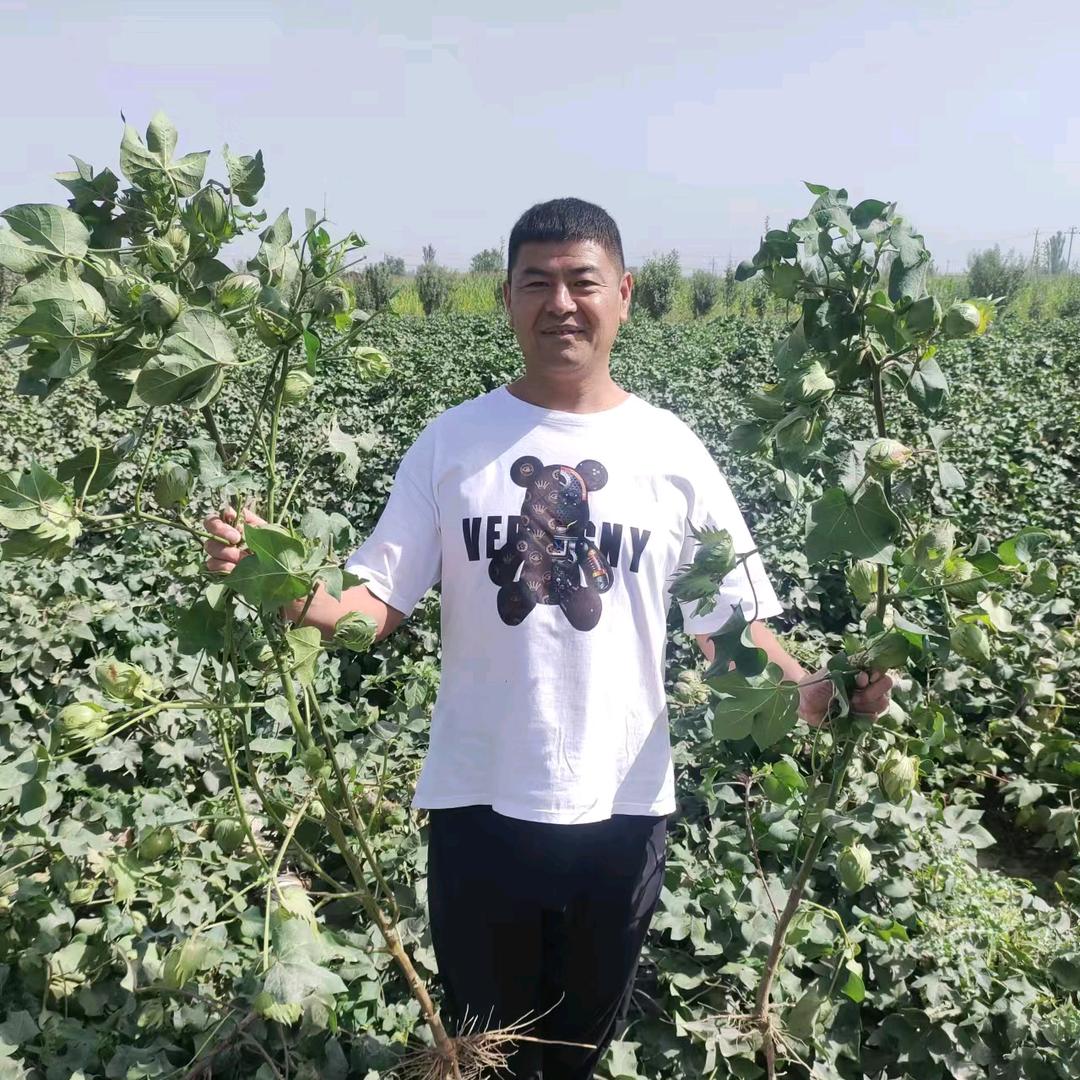 在新疆的徐州人