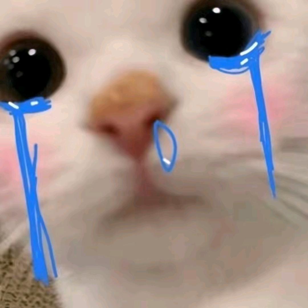 兆兆