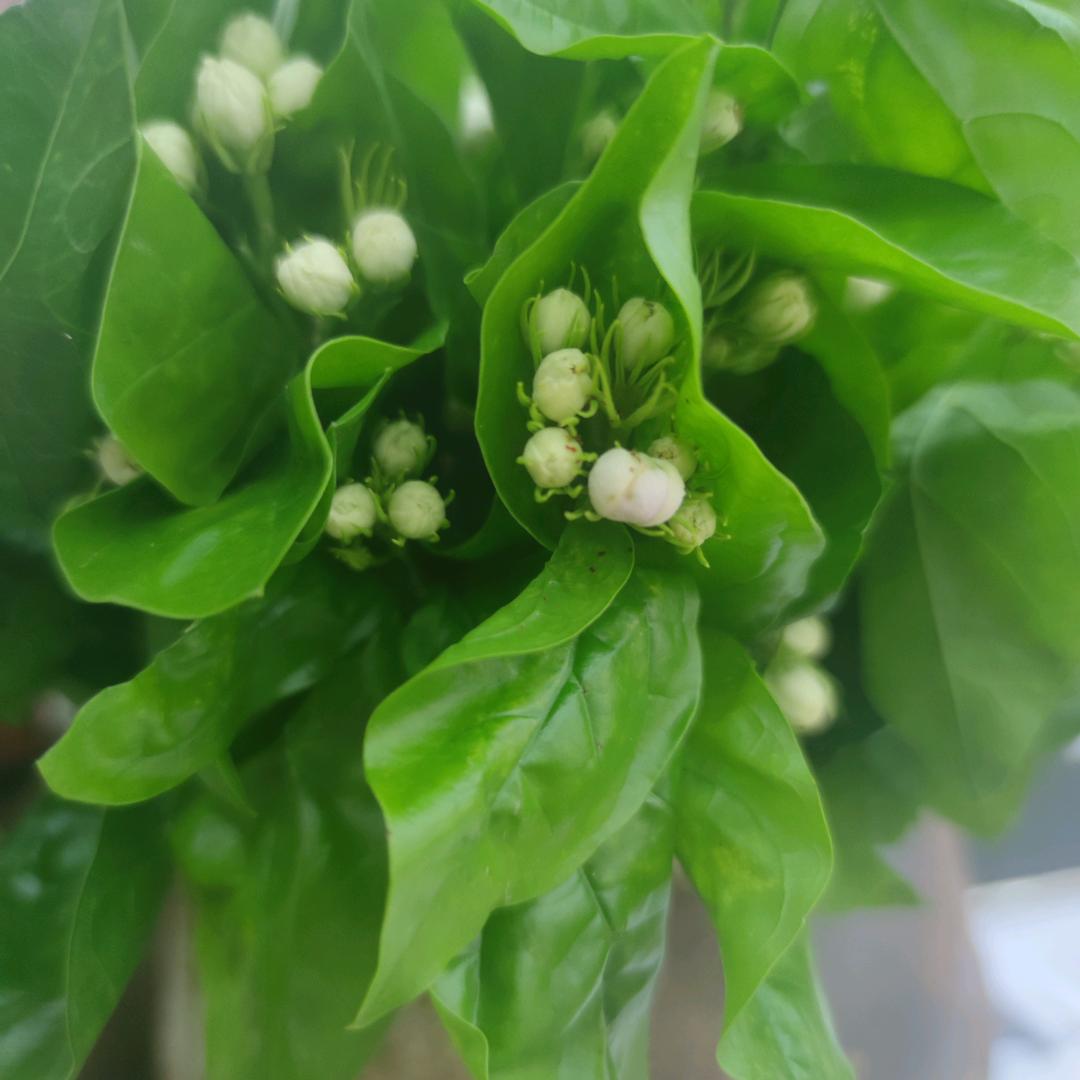 武汉市江夏区迪琳澳百货商行（个体工商户）