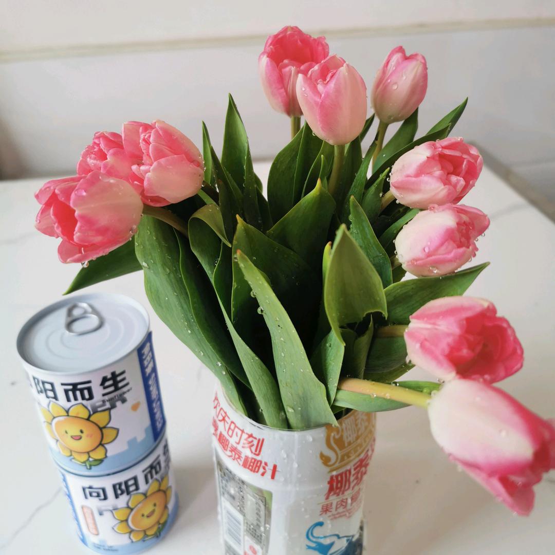 🦋ꦿ໊福气᭄🕊满满᭄ꦿᩚ