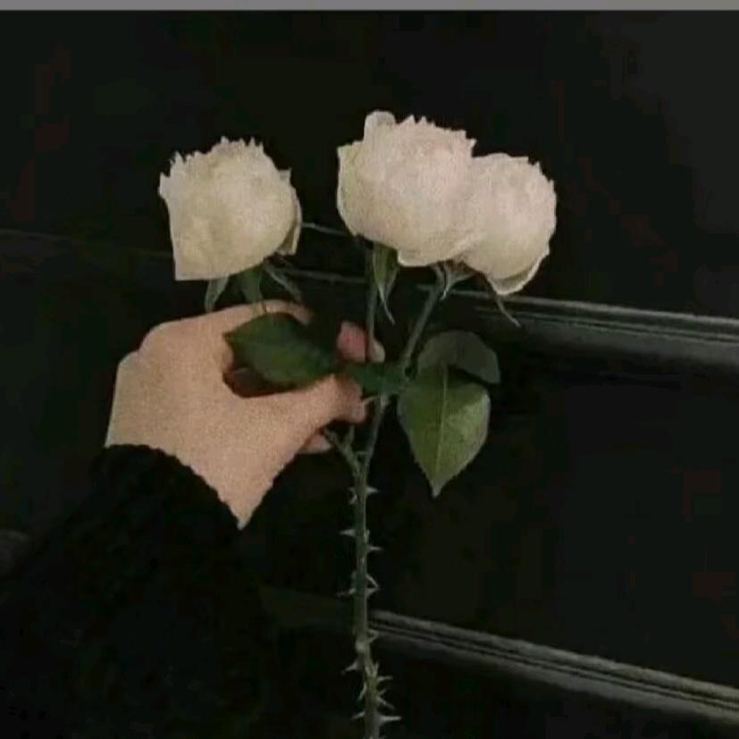 洙洙