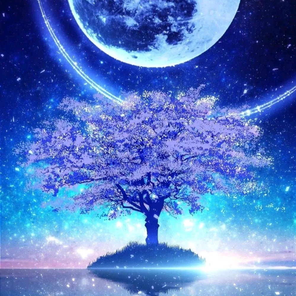 星星耀眼