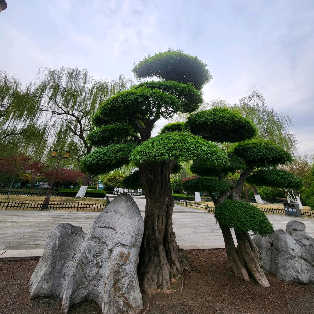 高端铝包木断桥铝