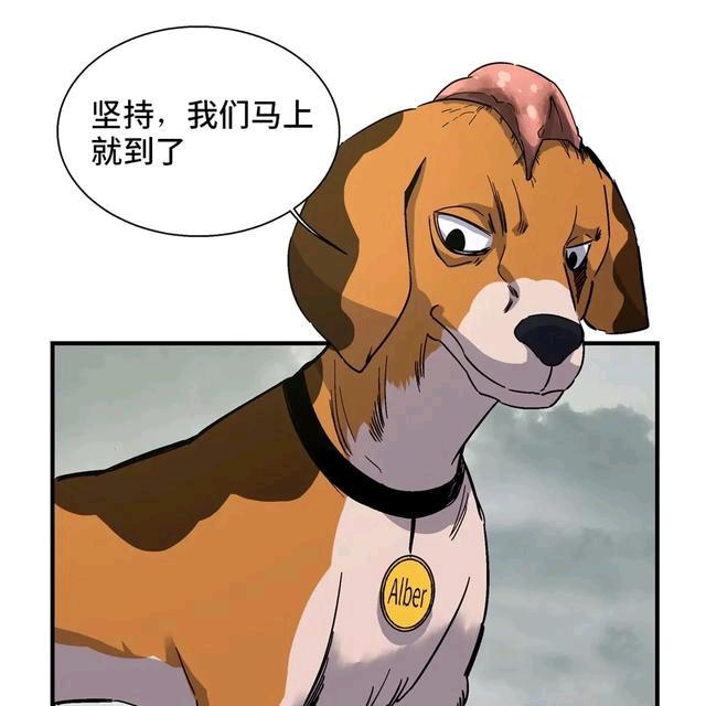 土猎实战，爱好者
