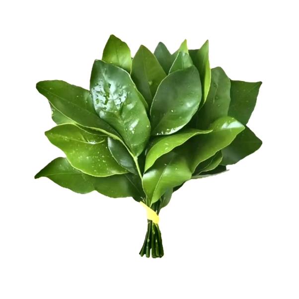 咪黎哩梨🍐